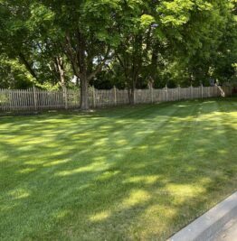 A freshly mowed and trimmed lawn up to the fence in a back yard.