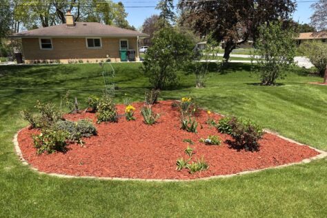 A small garden in the center of a back yard with fresh red mulch.