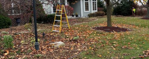 Front yard before full seasonal maintenance with leaves and debris in sight.