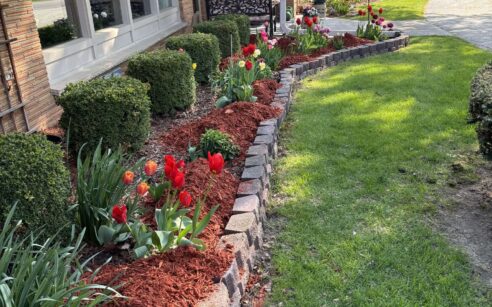 A portrait shot of rich red much getting installed on a well kept garden.