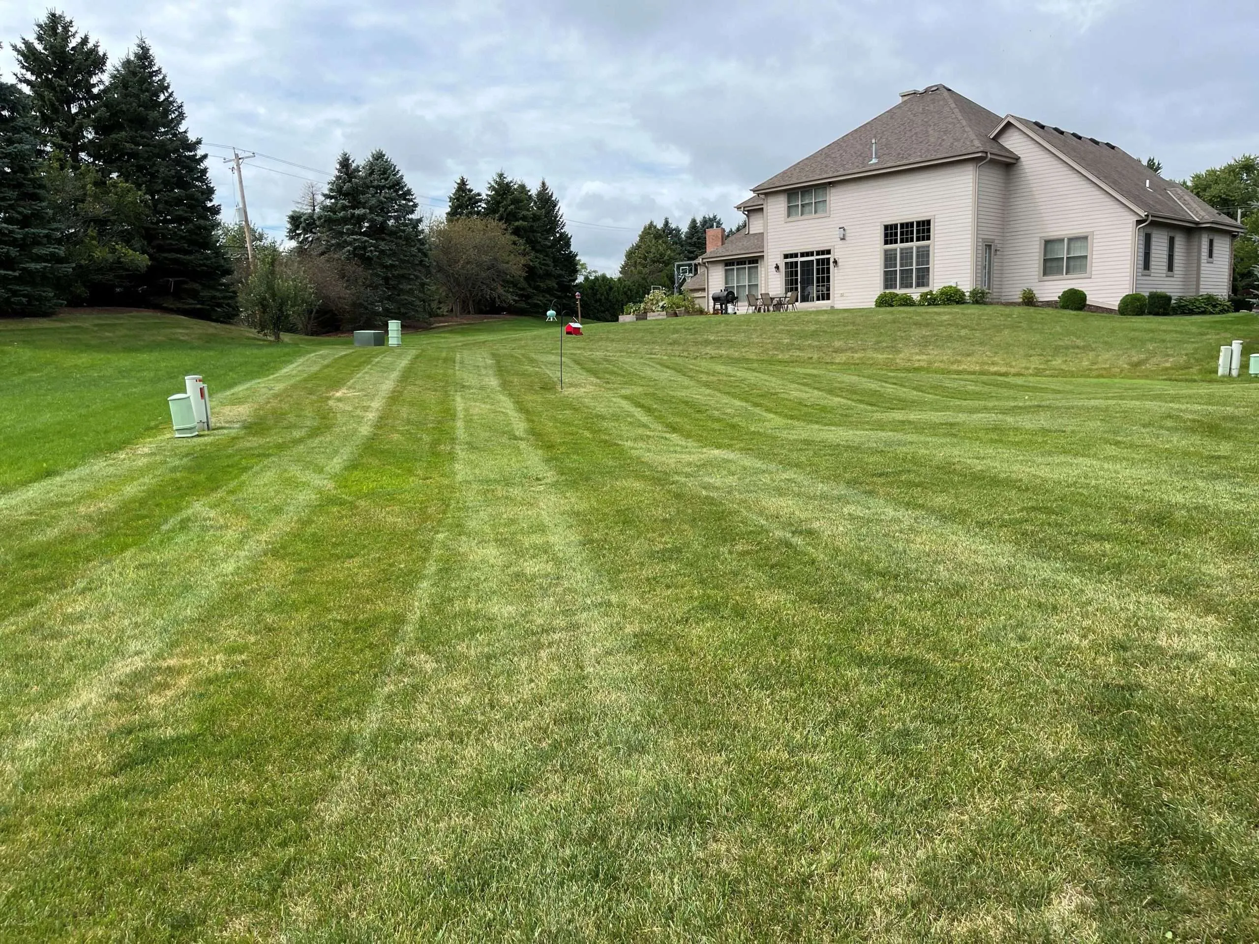 Wide shot of striped back yard lawn leading toward a beige two-story suburban home.