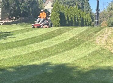 Lawn care professional on a zero-turn mower creating precise stripes by a basketball hoop and arborvitae hedge.