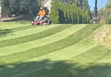 Lawn care professional on a zero-turn mower creating precise stripes by a basketball hoop and arborvitae hedge.