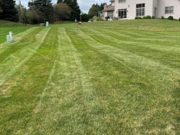 Wide shot of striped back yard lawn leading toward a beige two-story suburban home.