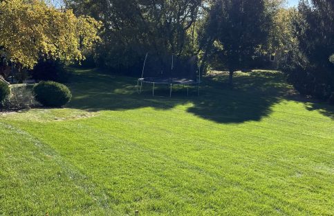 {{brizy_dc_image_alt imageSrc=