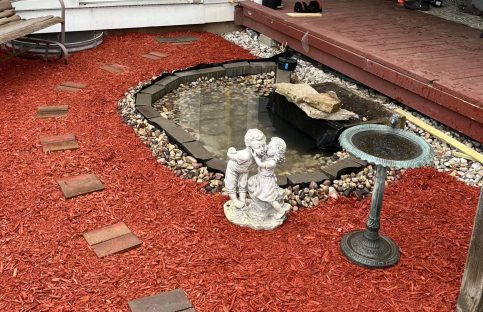 {{brizy_dc_image_alt imageSrc=