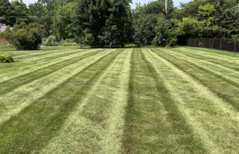 A large back yard with clean lawn stripes after lawn mowing.
