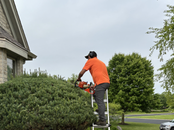 {{brizy_dc_image_alt imageSrc=