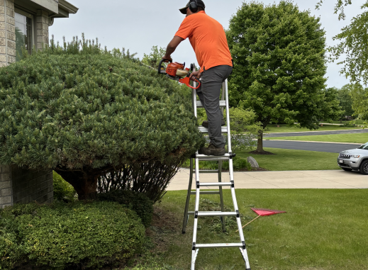 {{brizy_dc_image_alt imageSrc=