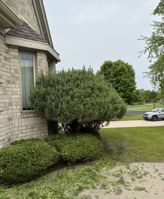 {{brizy_dc_image_alt imageSrc=