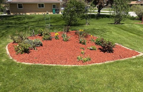 {{brizy_dc_image_alt imageSrc=