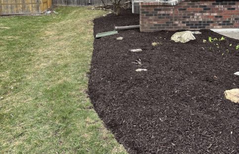 {{brizy_dc_image_alt imageSrc=