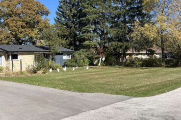 Autumn lawn maintenance with crisp stripes on healthy grass under a clear blue sky.