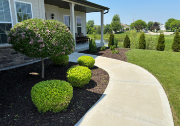 Angled shot of a perfectly manicured mulched garden, and well kept front lawn.