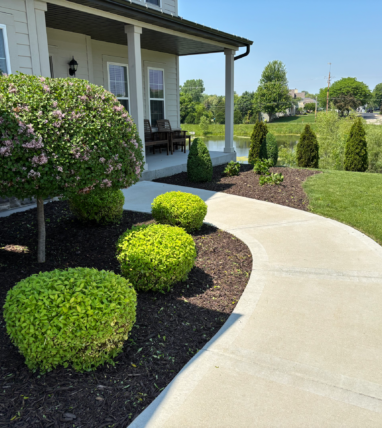 front-garden-after-lawn-care Angled shot of a perfectly manicured mulched garden, and well kept front lawn.
