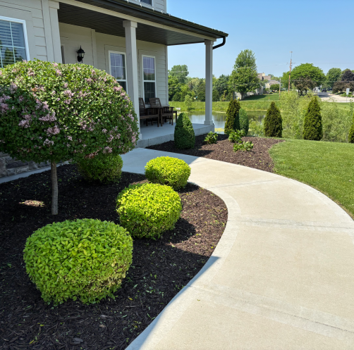 {{brizy_dc_image_alt imageSrc=