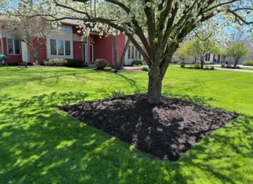 A fresh batch of mulch surrounded by a freshly mowed green lawn.