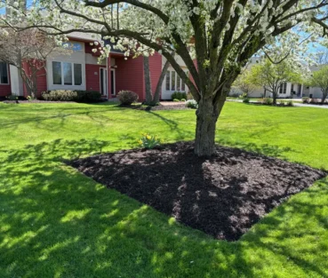 A fresh batch of mulch surrounded by a freshly mowed green lawn.
