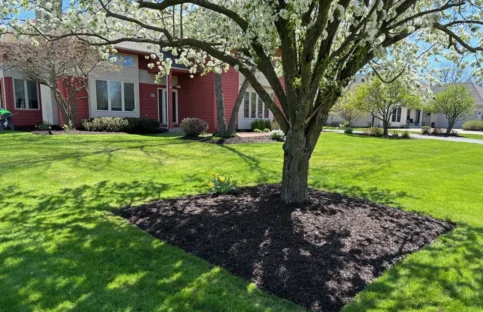 A fresh batch of mulch surrounded by a freshly mowed green lawn.