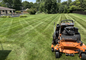 Landscape shot of a patio, back yard, and a large orange lawn mower in the foreground after lawn mowing and lawn stripping service.
