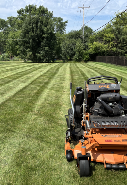 {{brizy_dc_image_alt imageSrc=