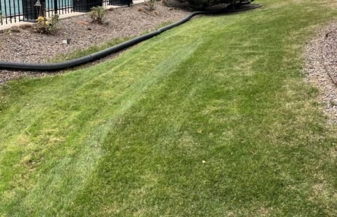 pool‑lawn‑striping Fresh lawn striping and edge cleanup along the pool enclosure, creating seamless grass lines and a polished look.