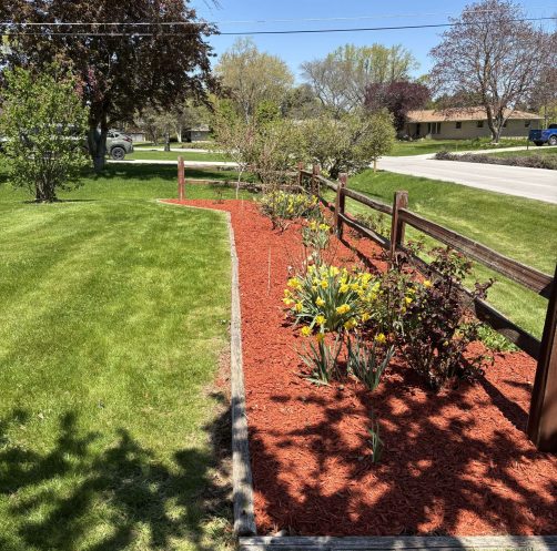 {{brizy_dc_image_alt imageSrc=