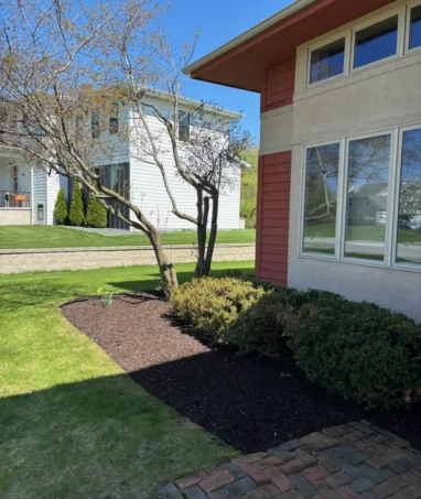 Side yard under a clear sky after garden services including bush trimming.