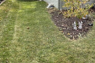 Narrow side yard after mowing, with a small garden.