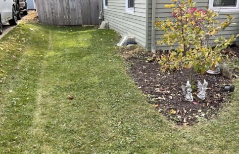side-yard-after-mowing Narrow side yard after mowing, with a small garden.
