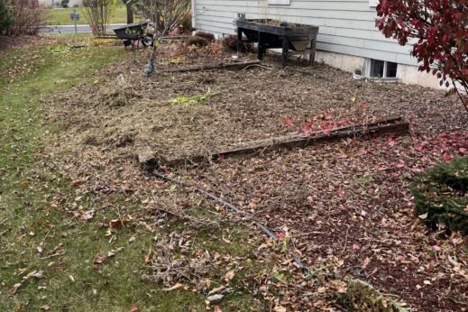 sideyard-before-fall-cleanup A side profile of the side yard planting beds before a professional fall cleanup.