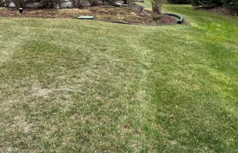 side‑yard‑shrub‑bed‑maintenance Side yard rock bed with winter‑pruned shrubs and crisp turf edge, showing maintenance around the house’s corner under leafless trees.
